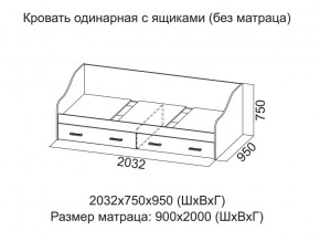 Кровать одинарная с ящиками (Без матраца 0,9*2,0) в Ялуторовске - yalutorovsk.magazin-mebel74.ru | фото