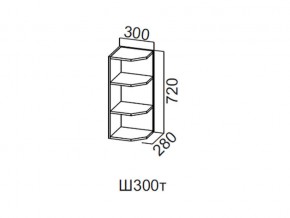 Ш300т/720 Шкаф навесной 300/720 (торцевой) в Ялуторовске - yalutorovsk.magazin-mebel74.ru | фото