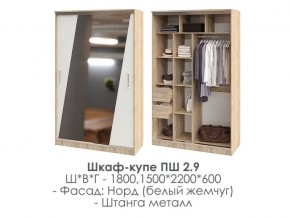 шкаф-купе ПШ-2.9 1500 Норд Белый жемчуг 1500 в Ялуторовске - yalutorovsk.magazin-mebel74.ru | фото