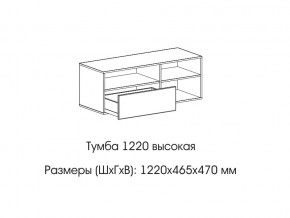 Тумба 1220 (высокая) в Ялуторовске - yalutorovsk.magazin-mebel74.ru | фото